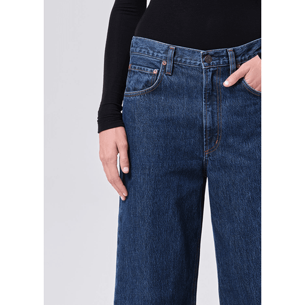 Agolde Low Curve Jean Pendulum